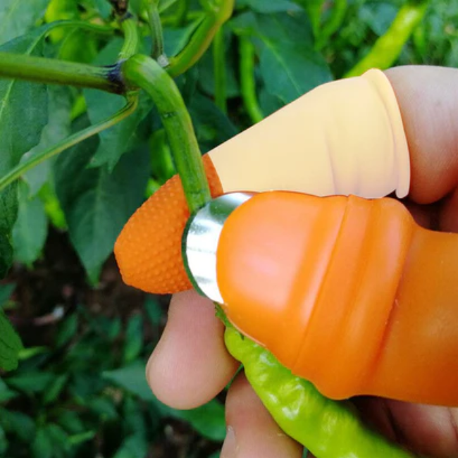 WELLMORA 1 PAIR V THUMB CUTTER WITH BOX USED IN ALL KINDS OF HOUSEHOLD AND OFFICIAL KITCHEN PURPOSES FOR PEELING AND CUTTING OF VARIOUS TYPES OF VEGETABLES AND FRUITS ETC ARTICLE NO HKPCVFWD1M