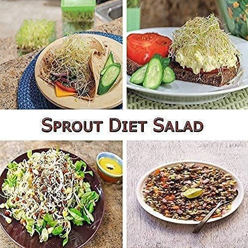 WELLMORA Sprout Maker with 4 Compartments for Multi Purpose Use - 500ml Plastic Grocery Container Sprouted Grains Seeds Dal Channa Chole Ragi Organic Sprouting Jar (4-layer) ARTICLE NO HKWMCRBMD9M
