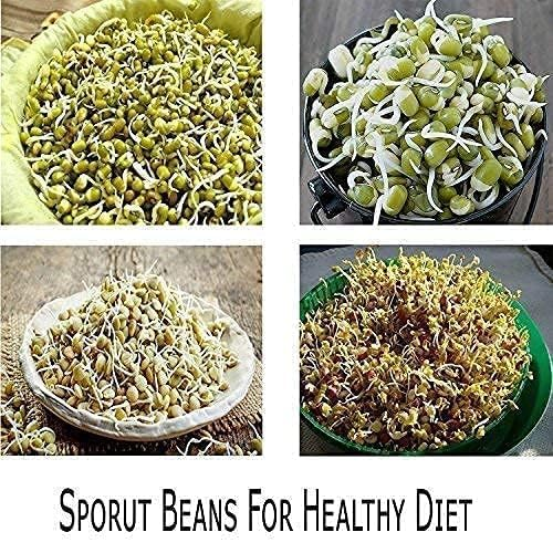 WELLMORA Sprout Maker with 4 Compartments for Multi Purpose Use - 500ml Plastic Grocery Container Sprouted Grains Seeds Dal Channa Chole Ragi Organic Sprouting Jar (4-layer) ARTICLE NO HKWMCRBMD9M