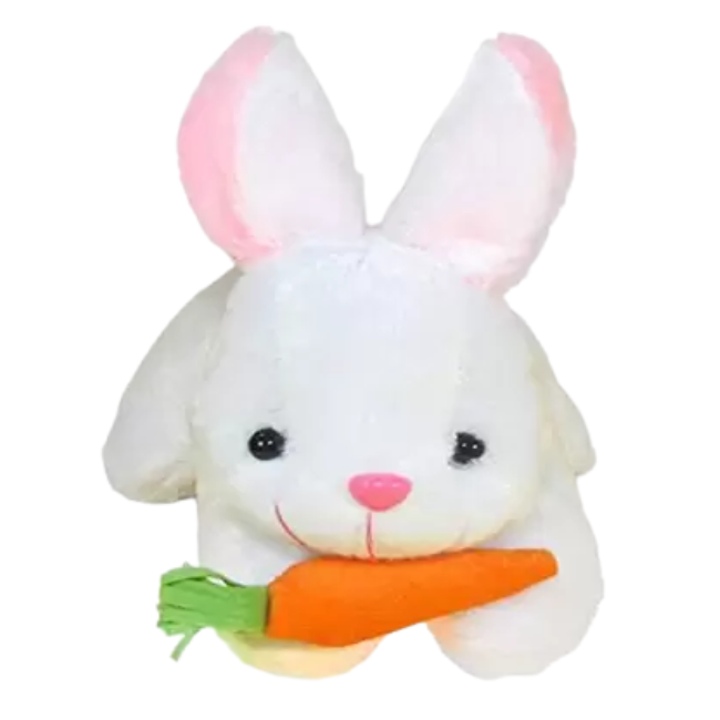 SOLO CITY RABBIT WITH CARROT(22CM)ARTICLE NO TYSCRWCD1C