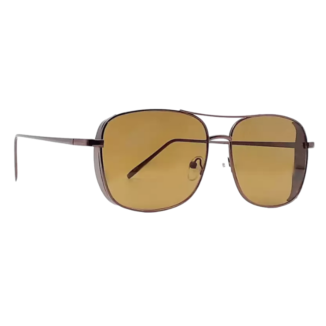 RAY VISION SUNGLASSES ARTICLE NO MNSGMFD31C1